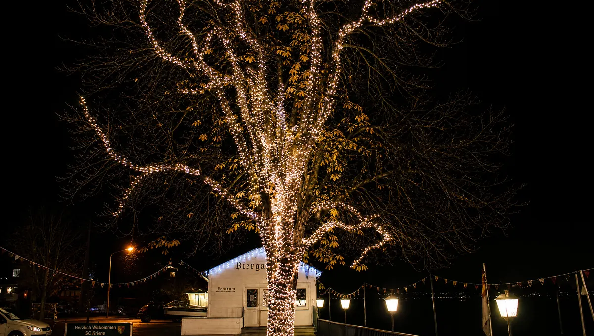 Baumillumination in Kriens, Schweiz – Lichterketten im Baum