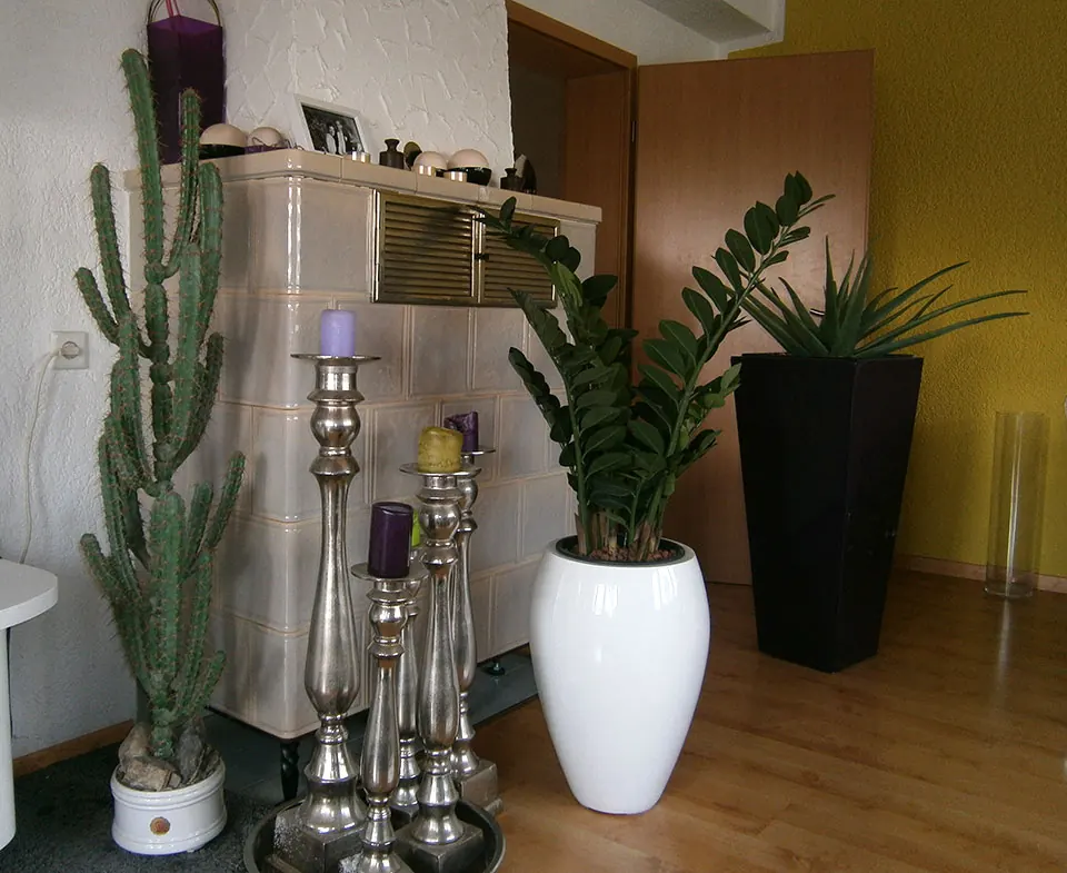 Textilpflanzen-Arrangement mit Kakteen und Zamioculcas in weißen Gefäßen
