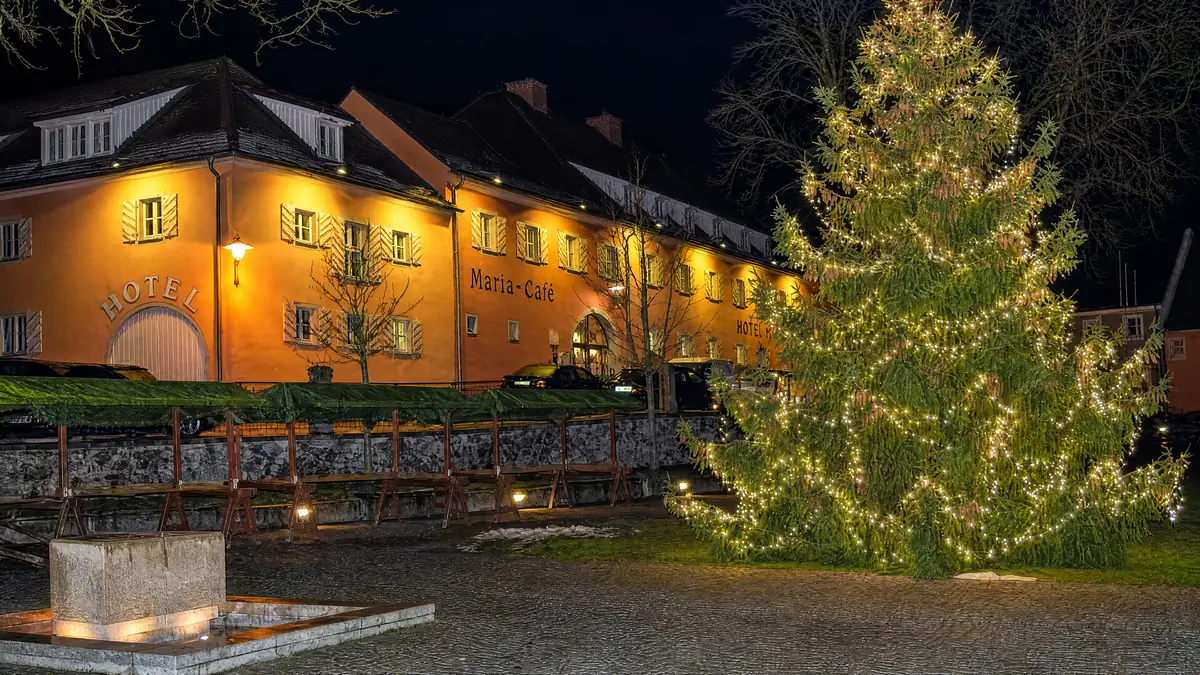 Weihnachtsbaum-Installation in Floß – großer beleuchteter Baum am Platz