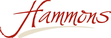 Hammons Neuendettelsau – Referenz